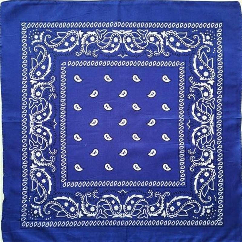 Blue paisley bandana