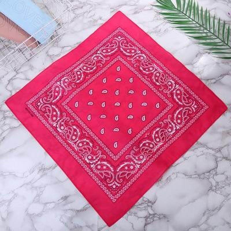 Pink paisley bandana