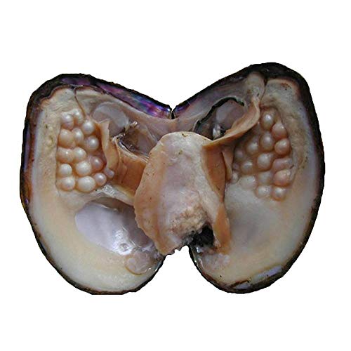 NewEGG Big Oyster Pearl Party Pearl Freshwater Cultured Oval Pearl Beads (5-7mm 28 PCs/Lot) Oysters with Pearl Inside Anniversary Decoration for Women