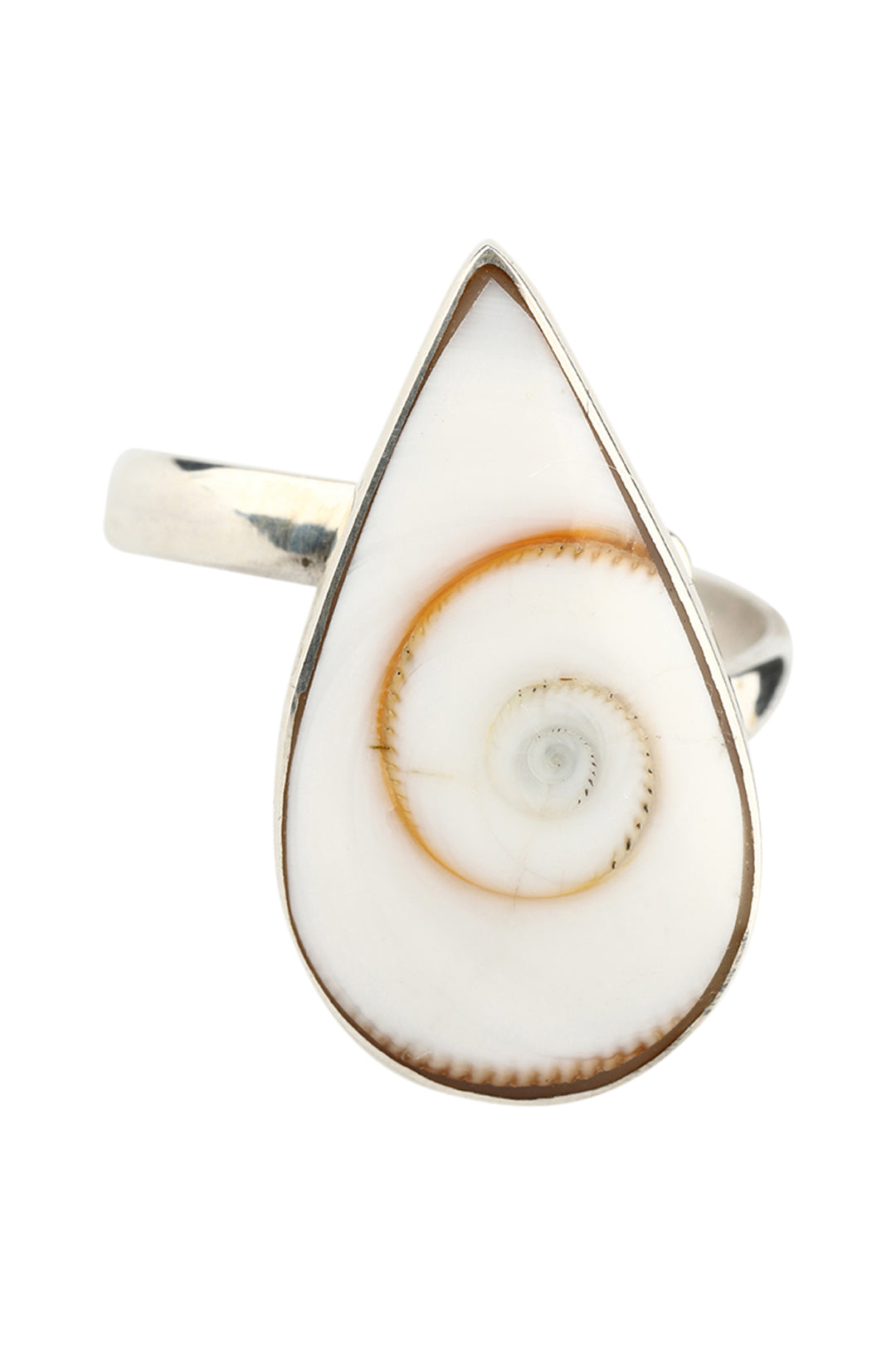 Shiva Shell Teardrop Silver Ring