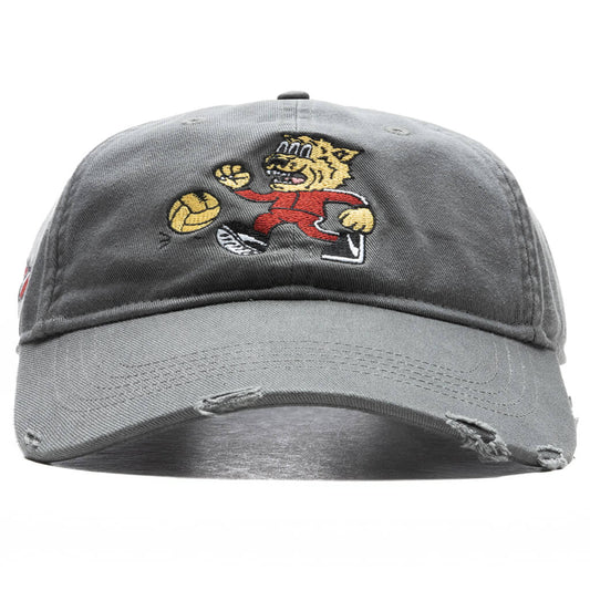 "Hometown Heroes" Vintage Dad Cap - Grey