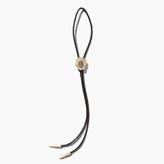 Vintage Bone and Abalone Bolo Tie